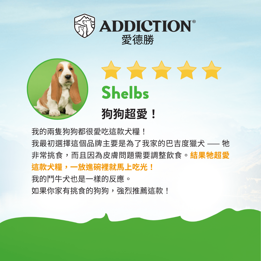 無榖放牧羊肉犬糧1.8kg , 9kg , 15kg - AF70691 - ADDICTION愛德勝