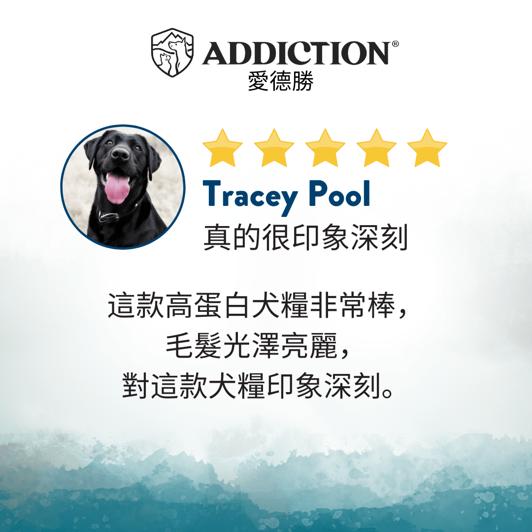 珍島系列深海盛宴犬糧1.8kg，9kg - WI79113 - ADDICTION愛德勝