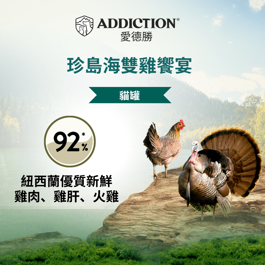 珍島系列島海雙雞饗宴貓罐85g - WI00153 | ADDICTION愛德勝