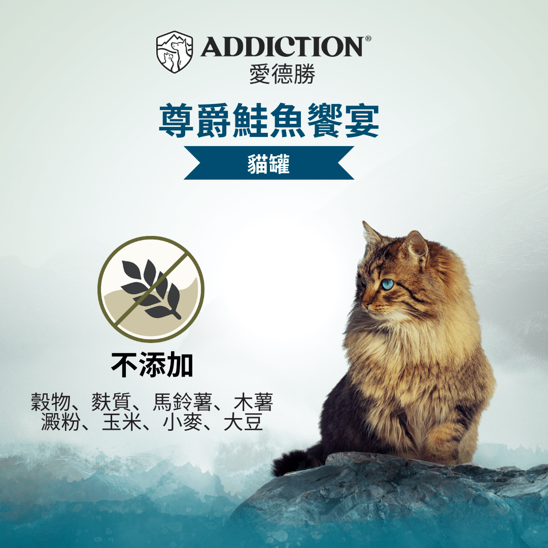 珍島系列尊爵鮭魚饗宴貓罐85g - WI00160 - ADDICTION愛德勝