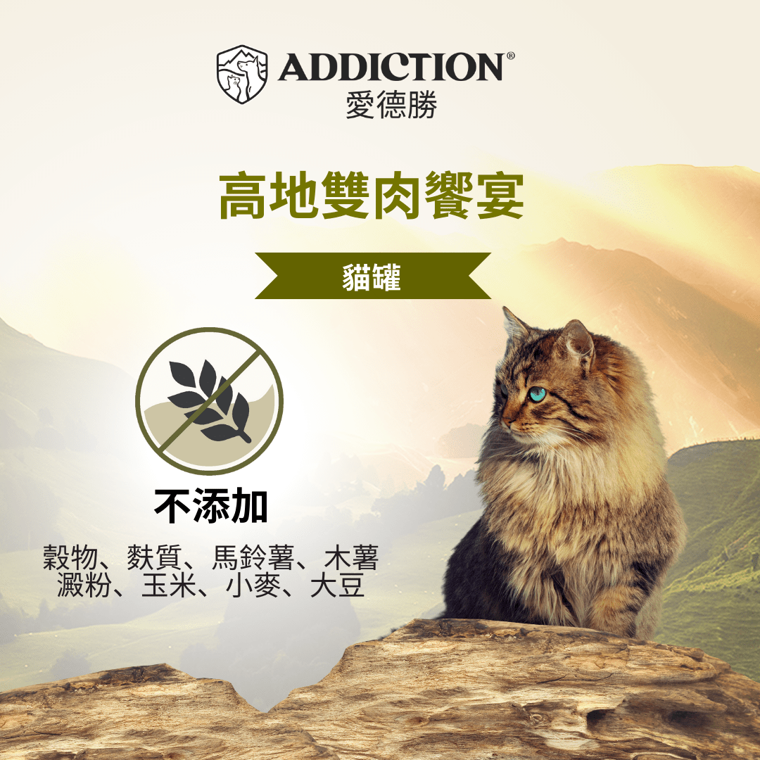 珍島系列高地雙肉饗宴貓罐85g - WI00177 - ADDICTION愛德勝