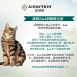 珍島系列島海雙雞饗宴貓罐85g - WI00153 | ADDICTION愛德勝