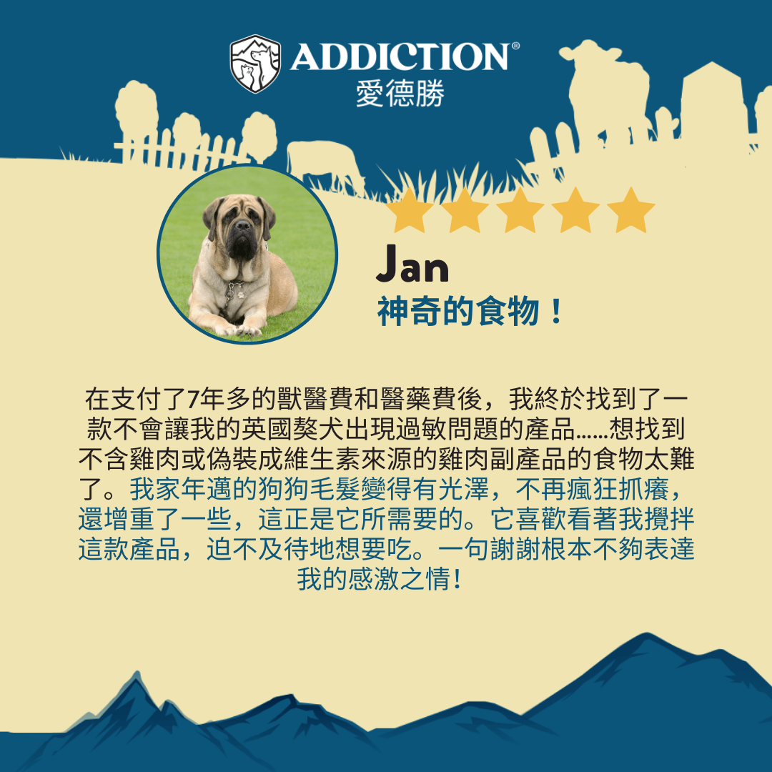 牛肉櫛瓜風乾犬糧910g - AF70929 | ADDICTION愛德勝