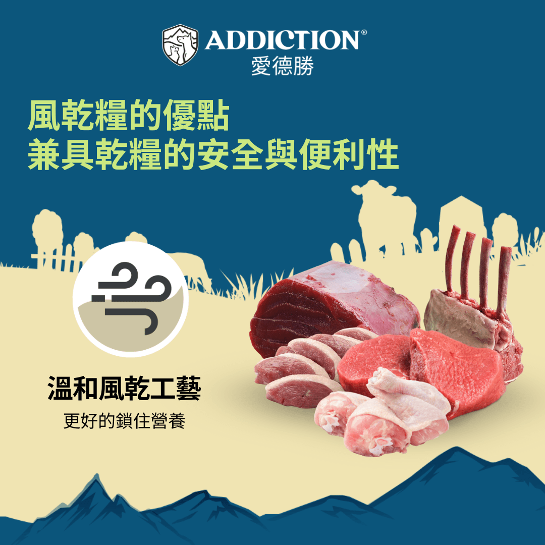 牛肉櫛瓜風乾犬糧910g - AF70929 | ADDICTION愛德勝