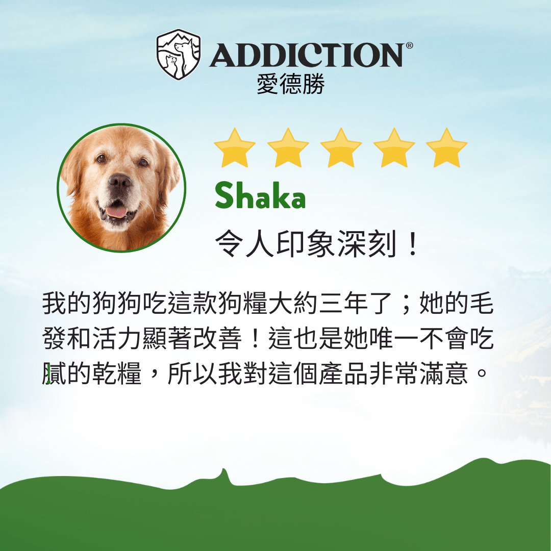 ZEN 菩提素食犬糧1.8kg - AF72022 - ADDICTION愛德勝